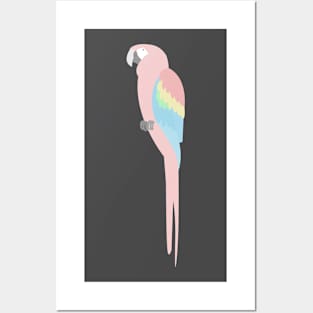 Pastel Parrot Scarlet Macaw Posters and Art